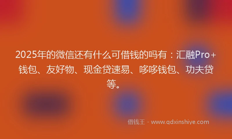 2025年的微信还有什么可借钱的吗有：汇融Pro+钱包、友好物、现金贷速易、哆哆钱包、功夫贷等。