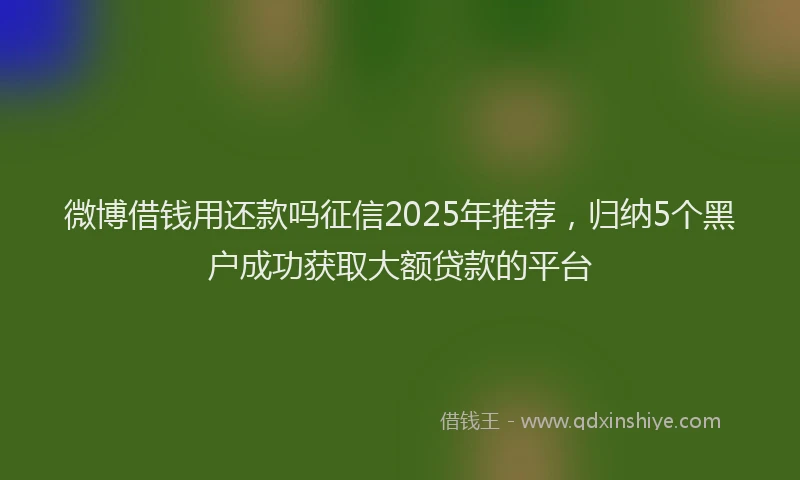 微博借钱用还款吗征信2025年推荐，归纳5个黑户成功获取大额贷款的平台