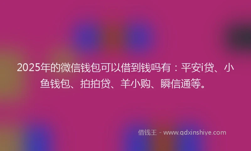 2025年的微信钱包可以借到钱吗有：平安i贷、小鱼钱包、拍拍贷、羊小购、瞬信通等。