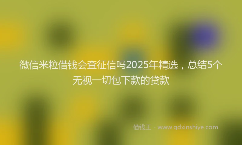 微信米粒借钱会查征信吗2025年精选，总结5个无视一切包下款的贷款