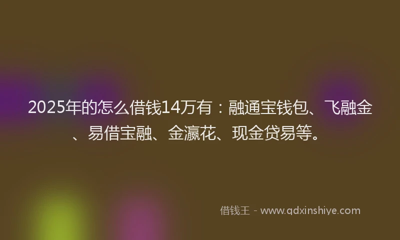 2025年的怎么借钱14万有：融通宝钱包、飞融金、易借宝融、金瀛花、现金贷易等。