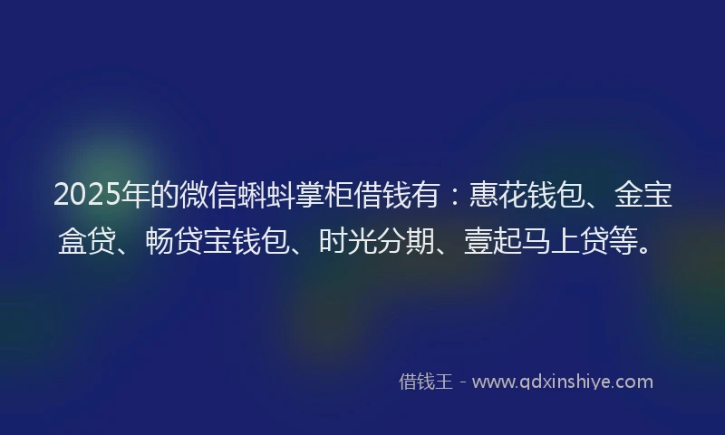 2025年的微信蝌蚪掌柜借钱有：惠花钱包、金宝盒贷、畅贷宝钱包、时光分期、壹起马上贷等。