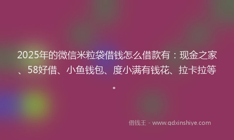 2025年的微信米粒袋借钱怎么借款有：现金之家、58好借、小鱼钱包、度小满有钱花、拉卡拉等。