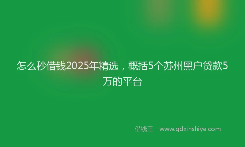 怎么秒借钱2025年精选，概括5个苏州黑户贷款5万的平台