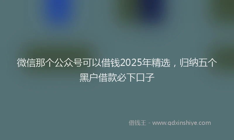 微信那个公众号可以借钱2025年精选，归纳五个黑户借款必下口子