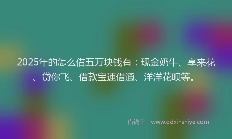 2025年的怎么借五万块钱有：现金奶牛、享来花、贷你飞、借款宝速借通、洋洋花呗等。