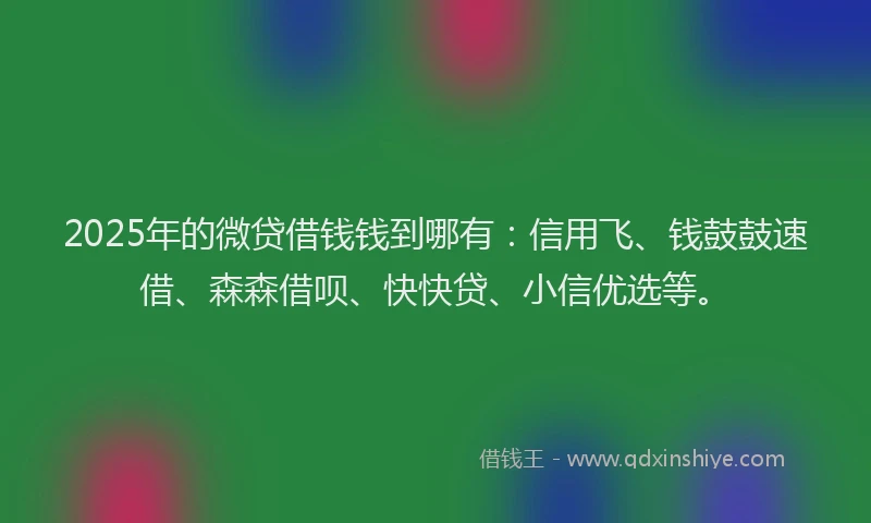 2025年的微贷借钱钱到哪有：信用飞、钱鼓鼓速借、森森借呗、快快贷、小信优选等。