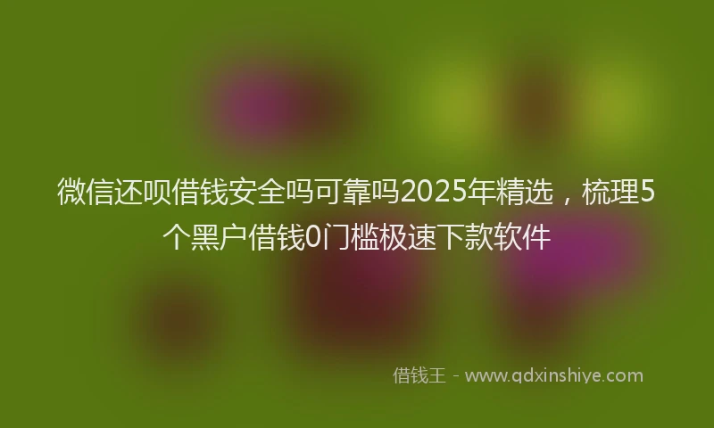 微信还呗借钱安全吗可靠吗2025年精选，梳理5个黑户借钱0门槛极速下款软件