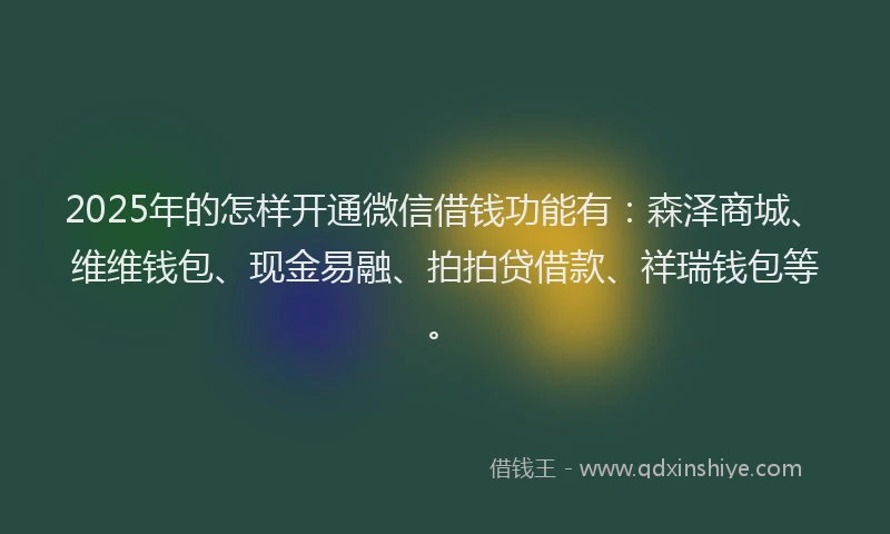 2025年的怎样开通微信借钱功能有：森泽商城、维维钱包、现金易融、拍拍贷借款、祥瑞钱包等。