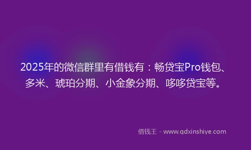 2025年的微信群里有借钱有：畅贷宝Pro钱包、多米、琥珀分期、小金象分期、哆哆贷宝等。