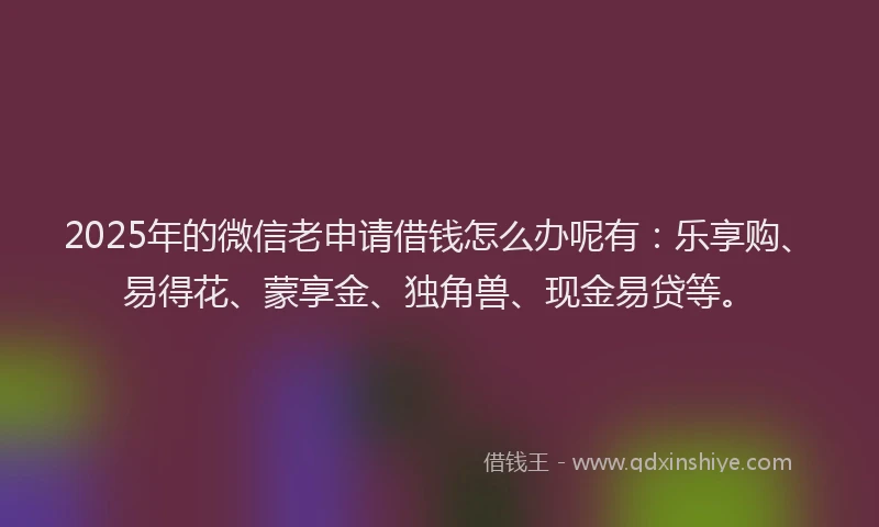 2025年的微信老申请借钱怎么办呢有：乐享购、易得花、蒙享金、独角兽、现金易贷等。