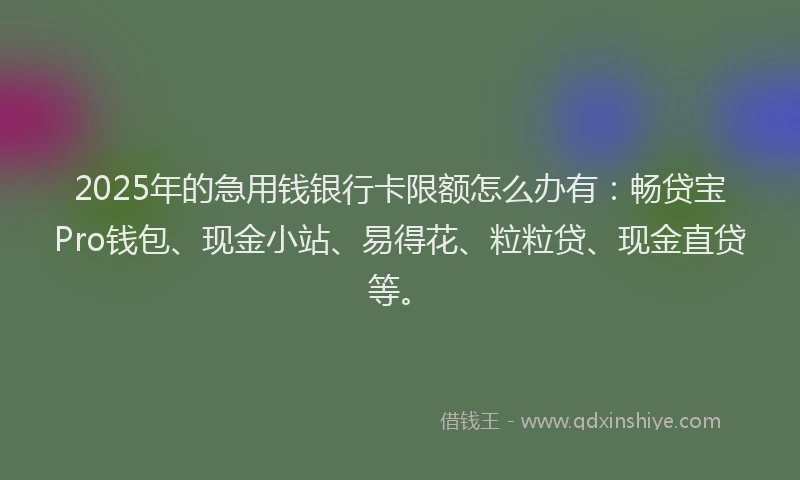 2025年的急用钱银行卡限额怎么办有：畅贷宝Pro钱包、现金小站、易得花、粒粒贷、现金直贷等。