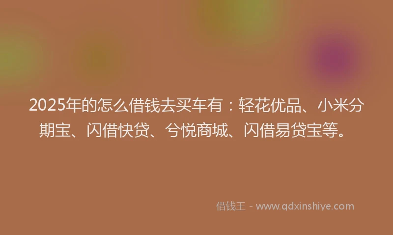 2025年的怎么借钱去买车有：轻花优品、小米分期宝、闪借快贷、兮悦商城、闪借易贷宝等。