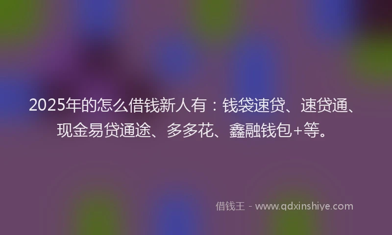 2025年的怎么借钱新人有：钱袋速贷、速贷通、现金易贷通途、多多花、鑫融钱包+等。