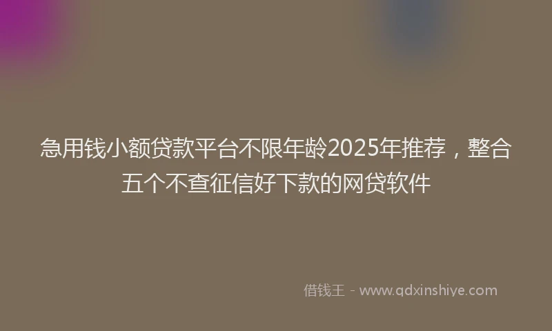 急用钱小额贷款平台不限年龄2025年推荐，整合五个不查征信好下款的网贷软件