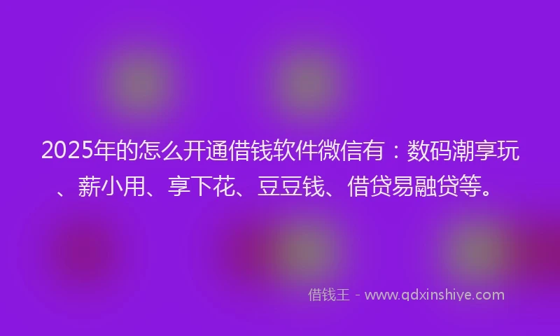 2025年的怎么开通借钱软件微信有：数码潮享玩、薪小用、享下花、豆豆钱、借贷易融贷等。