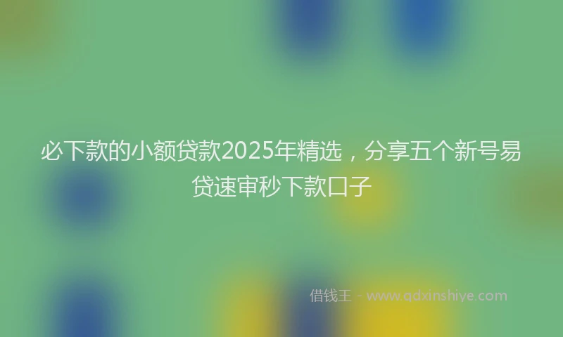 必下款的小额贷款2025年精选，分享五个新号易贷速审秒下款口子