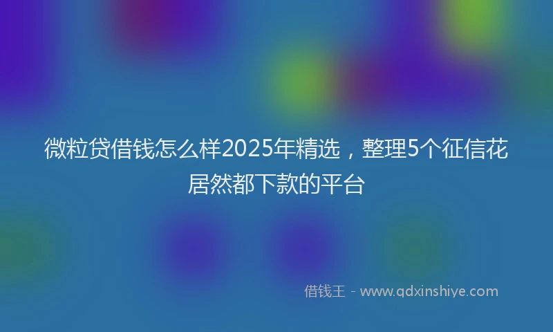 微粒贷借钱怎么样2025年精选，整理5个征信花居然都下款的平台
