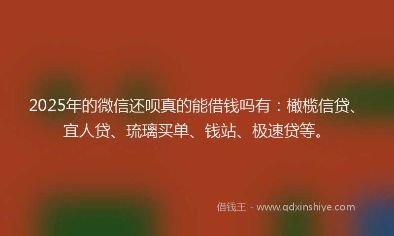 2025年的微信还呗真的能借钱吗有：橄榄信贷、宜人贷、琉璃买单、钱站、极速贷等。