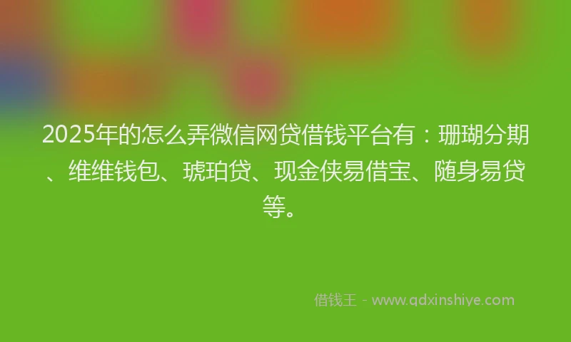 2025年的怎么弄微信网贷借钱平台有：珊瑚分期、维维钱包、琥珀贷、现金侠易借宝、随身易贷等。