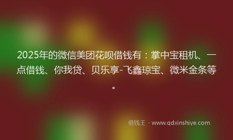 2025年的微信美团花呗借钱有：掌中宝租机、一点借钱、你我贷、贝乐享-飞鑫琼宝、微米金条等。