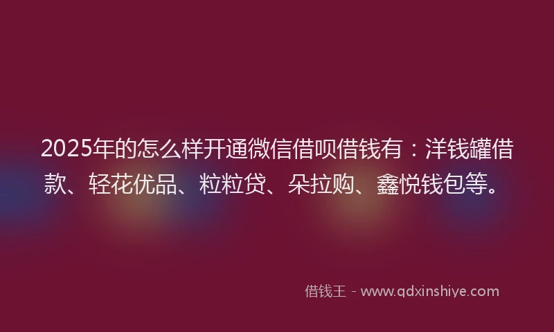 2025年的怎么样开通微信借呗借钱有：洋钱罐借款、轻花优品、粒粒贷、朵拉购、鑫悦钱包等。