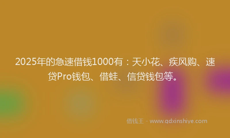 2025年的急速借钱1000有：天小花、疾风购、速贷Pro钱包、借蛙、信贷钱包等。