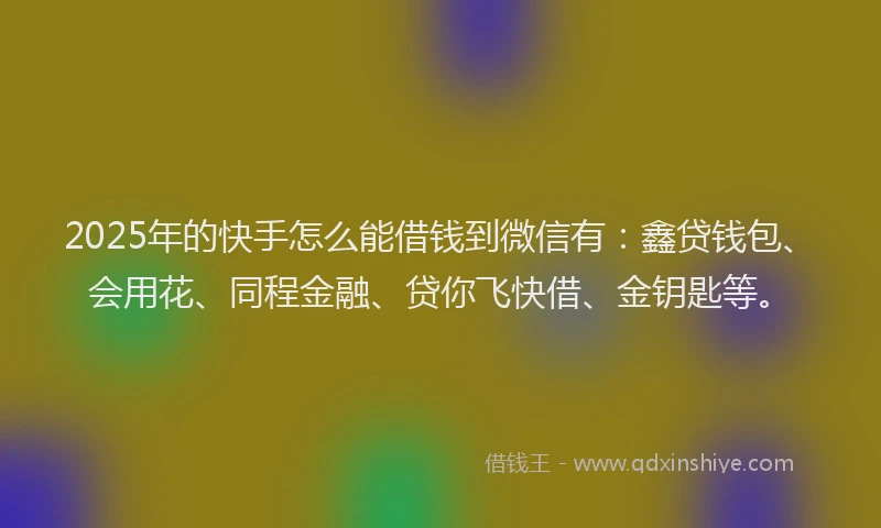 2025年的快手怎么能借钱到微信有：鑫贷钱包、会用花、同程金融、贷你飞快借、金钥匙等。