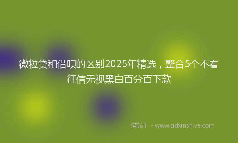微粒贷和借呗的区别2025年精选，整合5个不看征信无视黑白百分百下款
