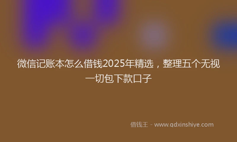 微信记账本怎么借钱2025年精选，整理五个无视一切包下款口子