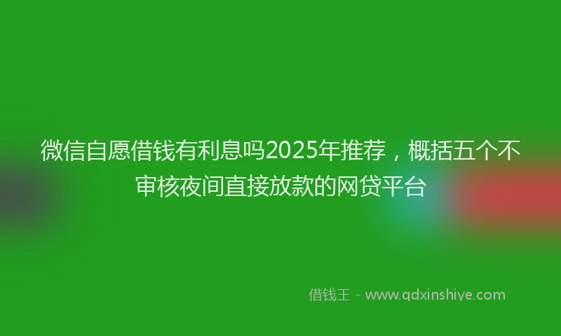 微信自愿借钱有利息吗2025年推荐，概括五个不审核夜间直接放款的网贷平台