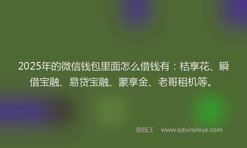 2025年的微信钱包里面怎么借钱有：桔享花、瞬借宝融、易贷宝融、蒙享金、老哥租机等。