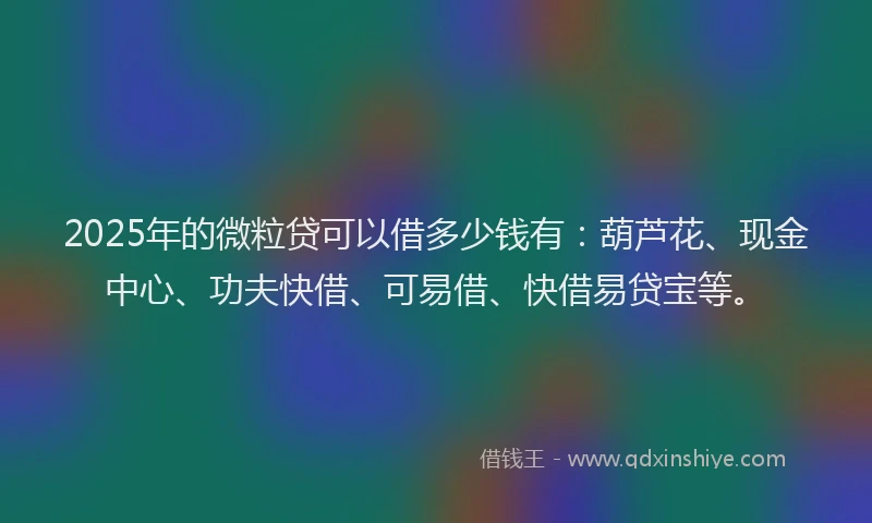 2025年的微粒贷可以借多少钱有：葫芦花、现金中心、功夫快借、可易借、快借易贷宝等。