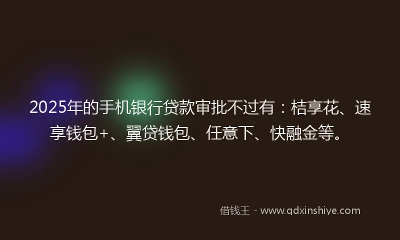 2025年的手机银行贷款审批不过有：桔享花、速享钱包+、翼贷钱包、任意下、快融金等。