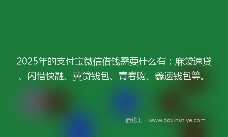 2025年的支付宝微信借钱需要什么有：麻袋速贷、闪借快融、翼贷钱包、青春购、鑫速钱包等。
