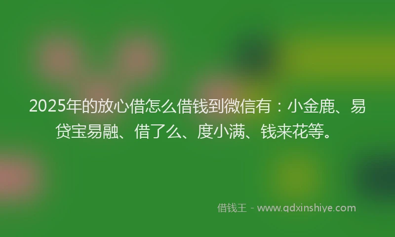 2025年的放心借怎么借钱到微信有：小金鹿、易贷宝易融、借了么、度小满、钱来花等。