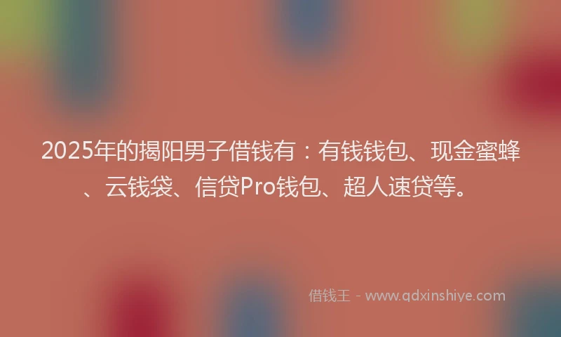 2025年的揭阳男子借钱有：有钱钱包、现金蜜蜂、云钱袋、信贷Pro钱包、超人速贷等。
