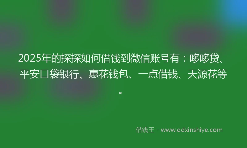 2025年的探探如何借钱到微信账号有：哆哆贷、平安口袋银行、惠花钱包、一点借钱、天源花等。
