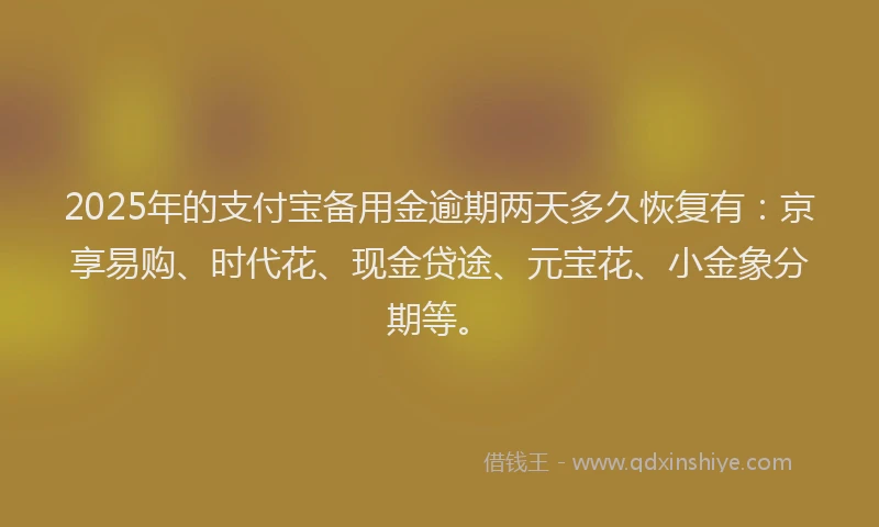 2025年的支付宝备用金逾期两天多久恢复有：京享易购、时代花、现金贷途、元宝花、小金象分期等。