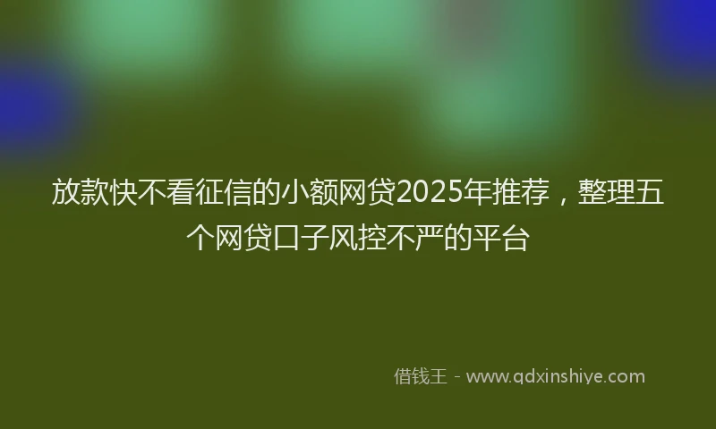 放款快不看征信的小额网贷2025年推荐，整理五个网贷口子风控不严的平台