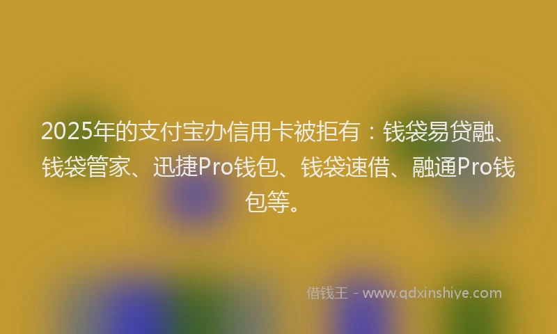 2025年的支付宝办信用卡被拒有：钱袋易贷融、钱袋管家、迅捷Pro钱包、钱袋速借、融通Pro钱包等。