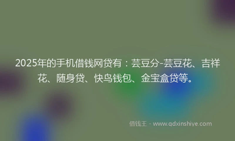 2025年的手机借钱网贷有：芸豆分-芸豆花、吉祥花、随身贷、快鸟钱包、金宝盒贷等。