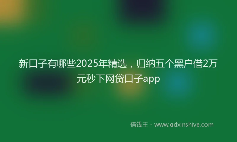 新口子有哪些2025年精选，归纳五个黑户借2万元秒下网贷口子app