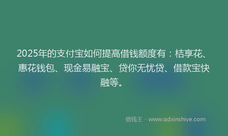2025年的支付宝如何提高借钱额度有：桔享花、惠花钱包、现金易融宝、贷你无忧贷、借款宝快融等。
