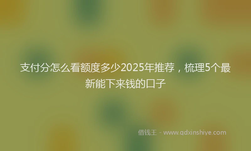 支付分怎么看额度多少2025年推荐，梳理5个最新能下来钱的口子