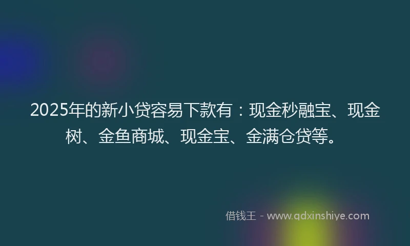 2025年的新小贷容易下款有：现金秒融宝、现金树、金鱼商城、现金宝、金满仓贷等。