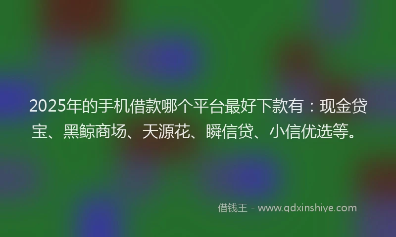 2025年的手机借款哪个平台最好下款有：现金贷宝、黑鲸商场、天源花、瞬信贷、小信优选等。