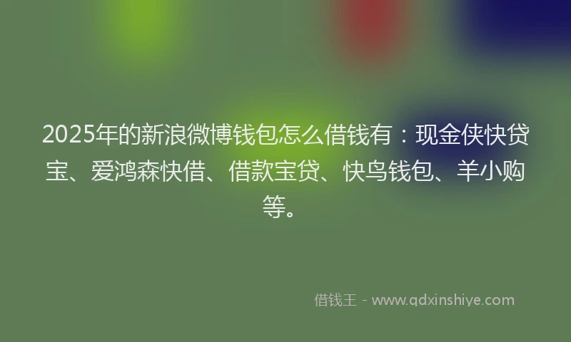 2025年的新浪微博钱包怎么借钱有：现金侠快贷宝、爱鸿森快借、借款宝贷、快鸟钱包、羊小购等。