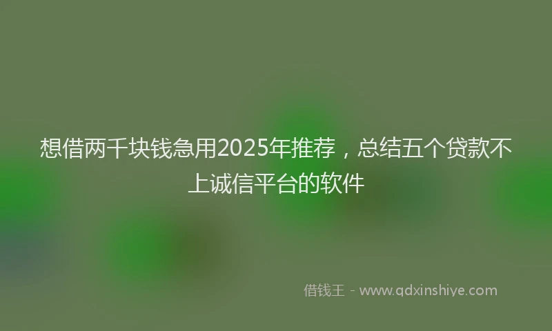 想借两千块钱急用2025年推荐，总结五个贷款不上诚信平台的软件