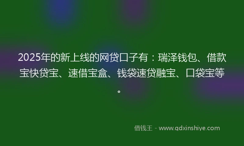 2025年的新上线的网贷口子有：瑞泽钱包、借款宝快贷宝、速借宝盒、钱袋速贷融宝、口袋宝等。